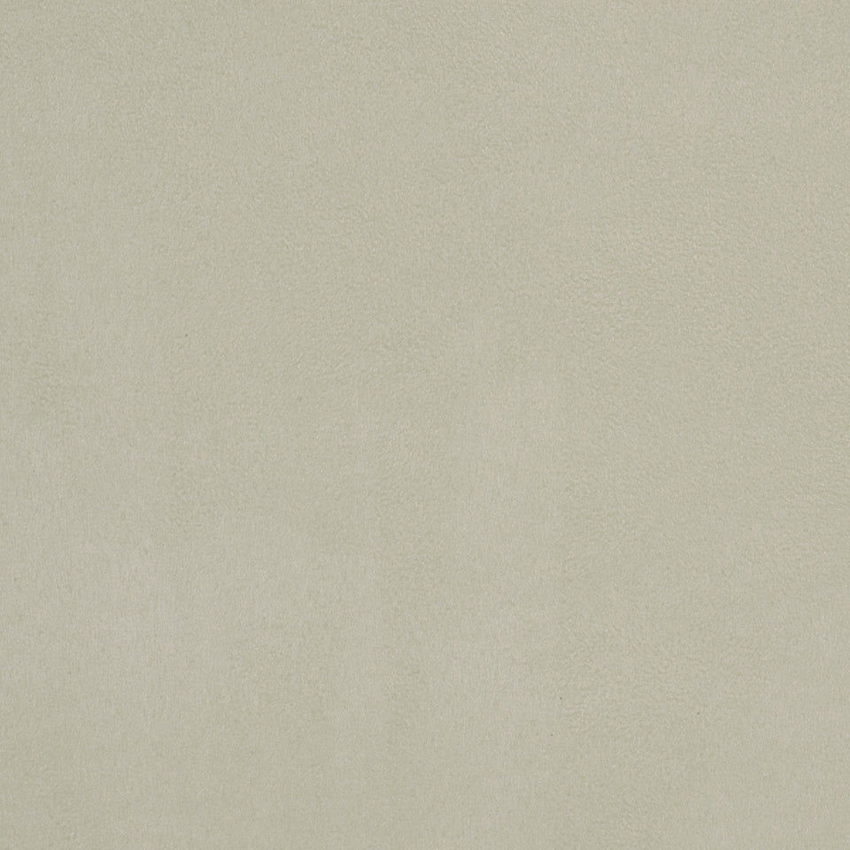 Robert Allen Sanchi | Bone  Multipurpose     - 195749