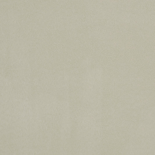 Robert Allen Sanchi | Bone  Multipurpose     - 195749