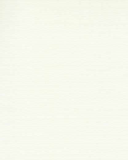 York Wallcoverings Classic Wovens Argent Eggshell York High Performance Textile Wallcovering Traditional Weaves Whites and Off-Whites  Wallpaper - 196-03