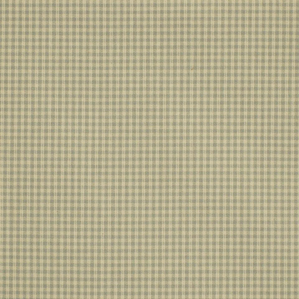 Robert Allen Picnic Plaid | Breeze  Multipurpose     - 196200