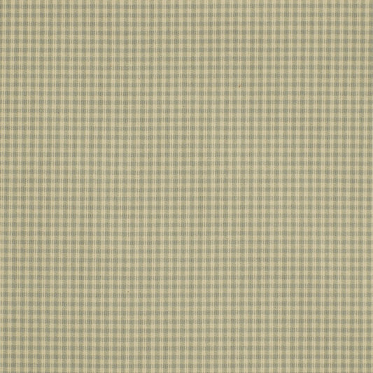 Robert Allen Picnic Plaid | Breeze  Multipurpose     - 196200