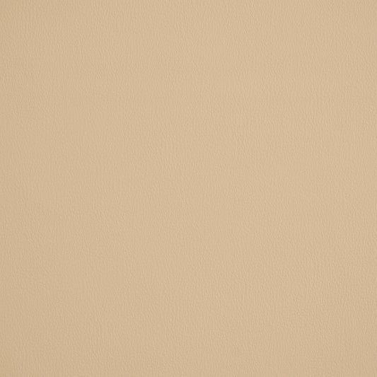 Robert Allen Contract Ananzi | Ivory  Upholstery     - 196332