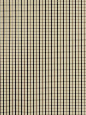 Robert Allen Party Plaid | Shadow  Multipurpose     - 196348