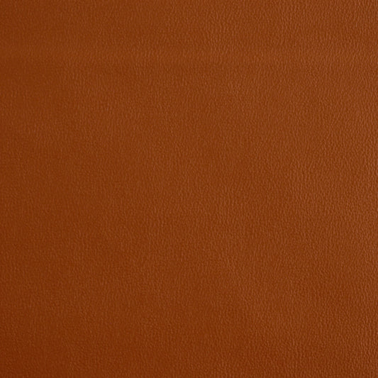 Robert Allen Contract Ananzi | Ginger  Upholstery     - 196350