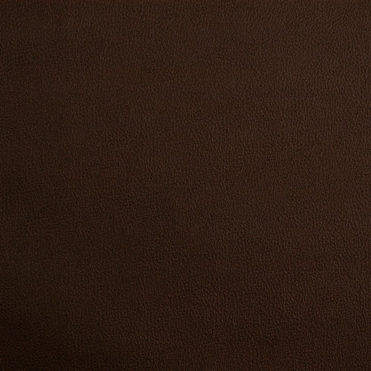 Robert Allen Contract Ananzi | Java  Upholstery     - 196377