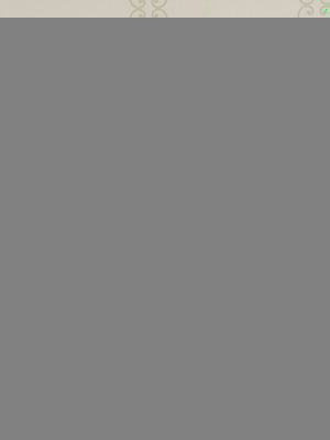 Gray rectangular fabric swatch with a beige ornate border along the top edge