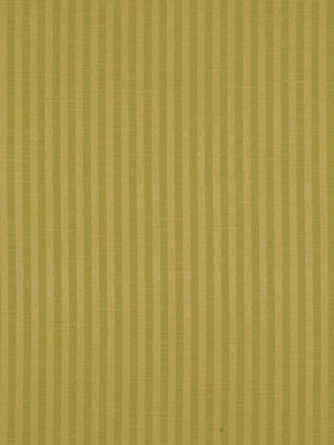 Robert Allen Contract Mansford | Celery  Multipurpose     - 196509