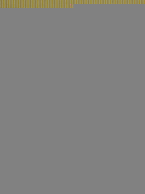Gray square with a thin gold striped border along the top edge.