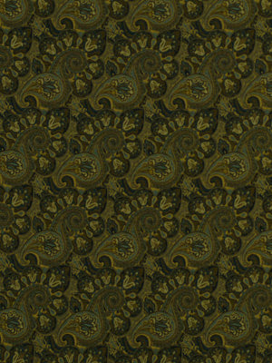 Robert Allen Contract Aparicio | Mediterranean  Upholstery     - 196813