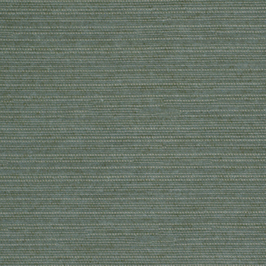 Robert Allen Natural Slub | Rain  Multipurpose     - 196862