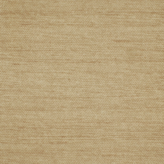 Robert Allen Alive | Sand  Drapery     - 196978