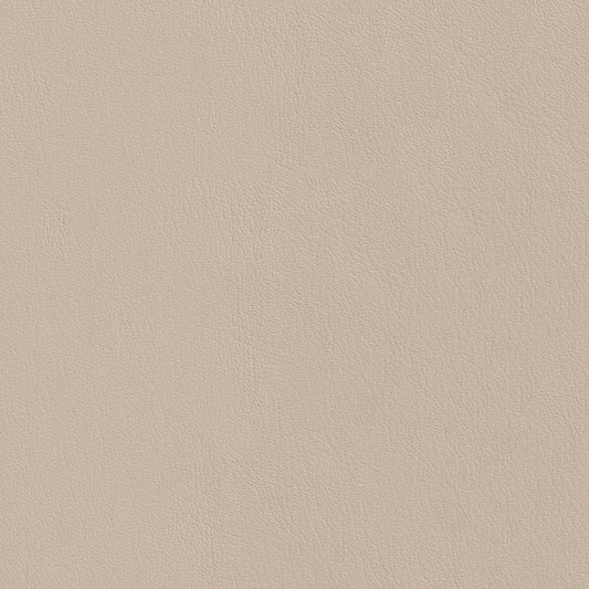 NICHOLASJOHN INC NJ-CORINS Beige Solid   Fabric - NJ25-717