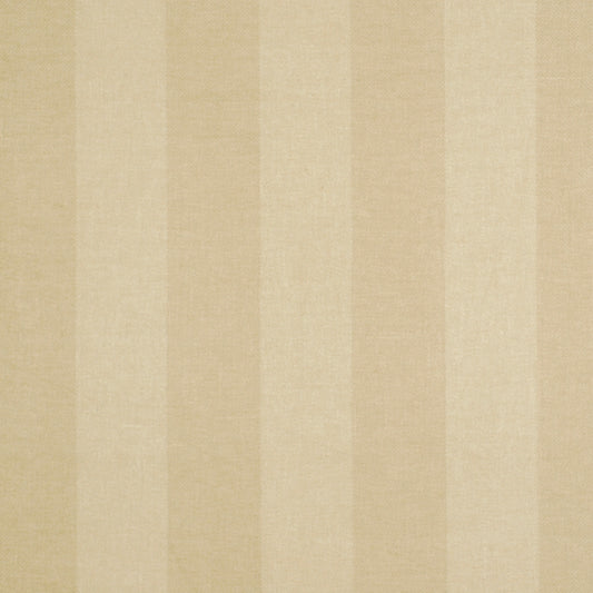 Robert Allen Two Tone | Wicker  Upholstery     - 197025