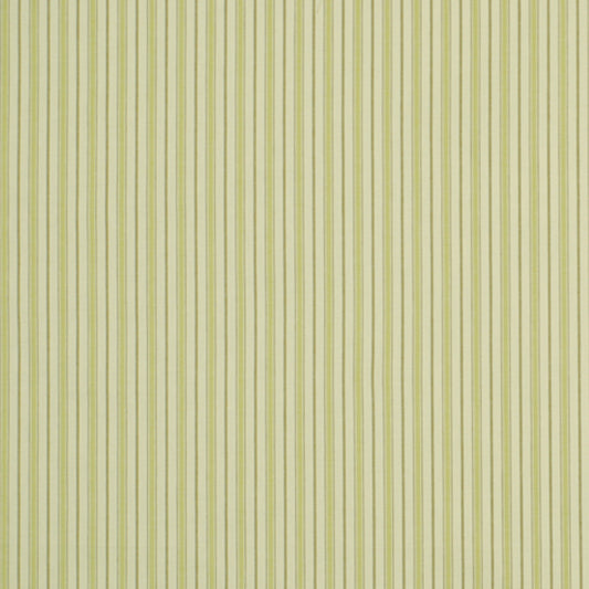 Robert Allen Kind Kelly | Leek  Multipurpose     - 197671