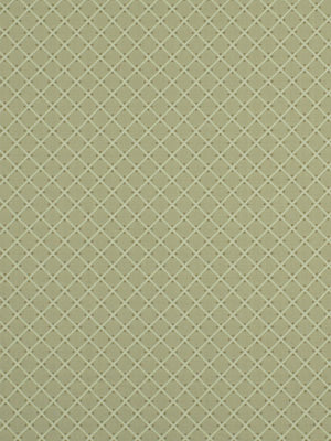 Robert Allen Sandy Lane | Twine  Upholstery     - 197961