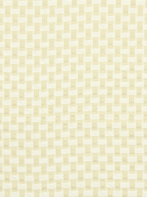 Robert Allen Intertwined | Cloud  Upholstery     - 197991