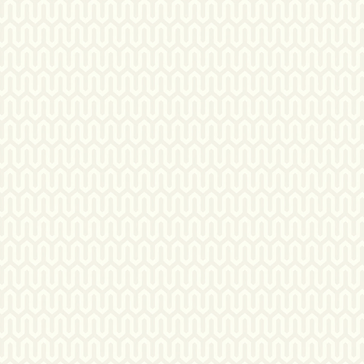 SCHUMACHER  Borastapeter YPSILON   BONE   - 1991