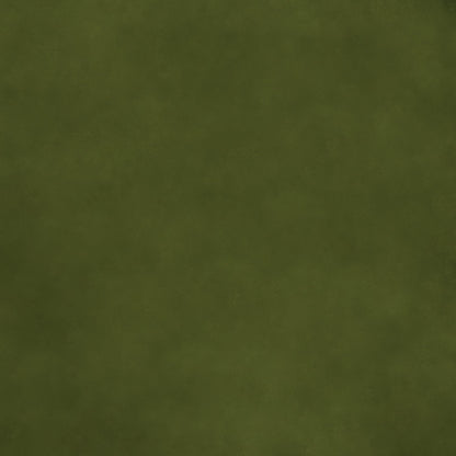 NICHOLASJOHN INC NJ-BENJAMIN Avocado Solid   Fabric - NJ25-1317