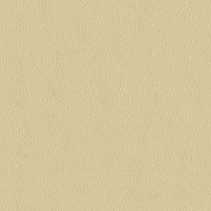 NICHOLASJOHN INC NJ-KENDRICK Parchment Solid,Texture   Fabric - NJ25-2698