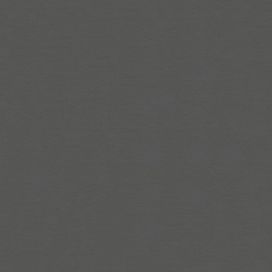 NICHOLASJOHN INC NJ-INDY Charcoal Solid   Fabric - NJ25-3262