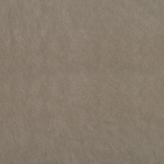 NICHOLASJOHN INC NJ-RIDE Taupe Solid   Fabric - NJ25-548