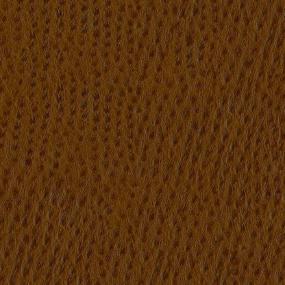 NICHOLASJOHN INC NJ-SCOTSDALE Brown Animal,Texture   Fabric - NJ25-2653