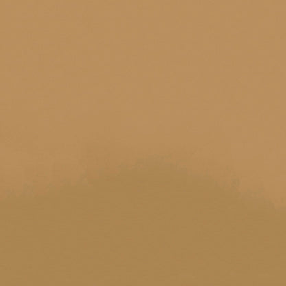 NICHOLASJOHN INC NJ-ZANDI Brown Solid   Fabric - NJ25-3841