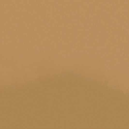 NICHOLASJOHN INC NJ-ZANDI Brown Solid   Fabric - NJ25-3841