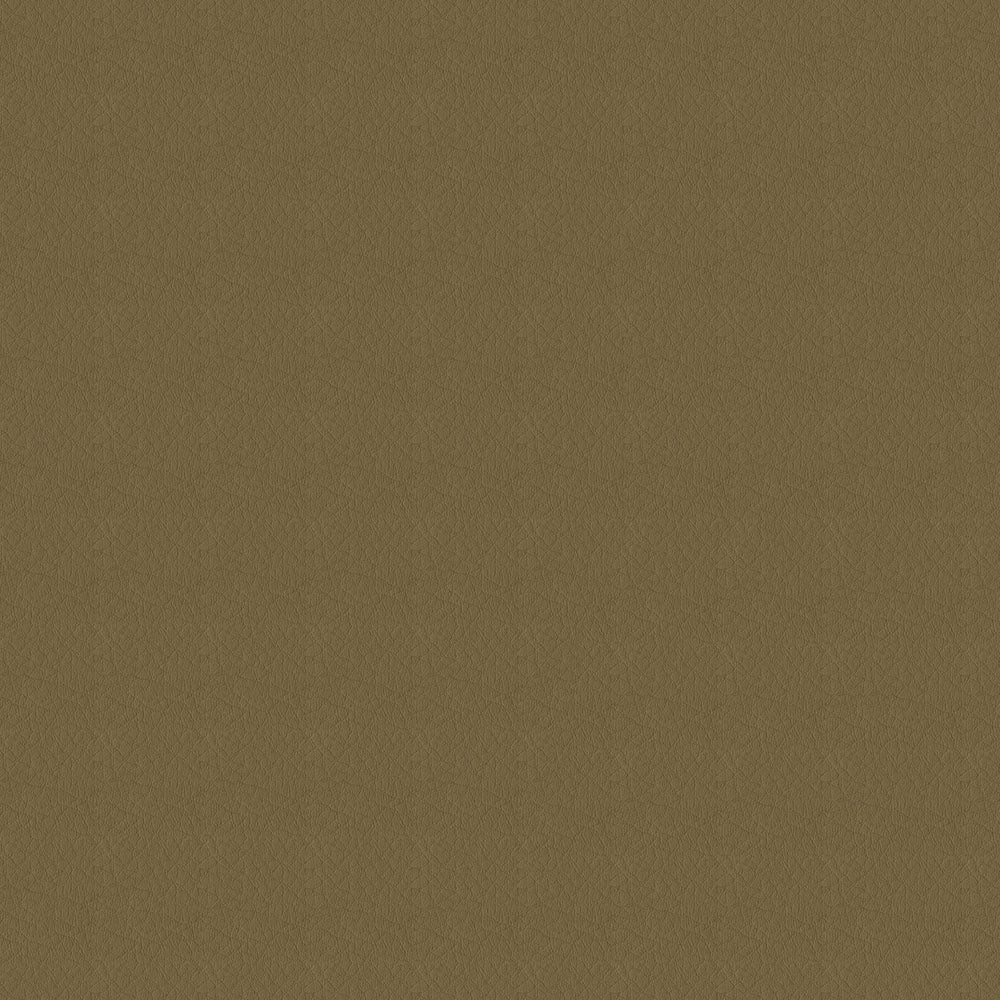 NICHOLASJOHN INC NJ-SHH Brown Solid   Fabric - NJ25-3681