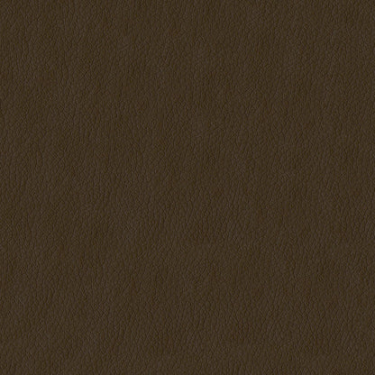 NICHOLASJOHN INC NJ-KENDRICK Tan Solid,Texture   Fabric - NJ25-2700