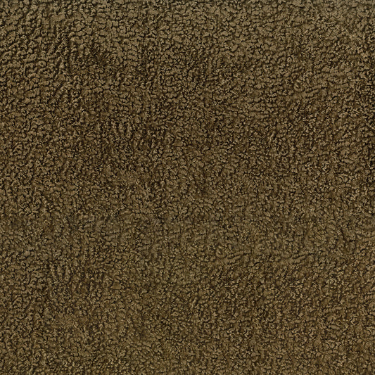 NICHOLASJOHN INC NJ-SPARKLE Taupe    Fabric - NJ25-3863