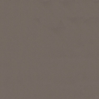 NICHOLASJOHN INC NJ-TOP Brown Solid   Fabric - NJ25-3333