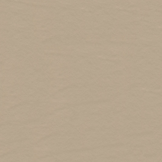 NICHOLASJOHN INC NJ-LUNN Beige Solid   Fabric - NJ25-2021