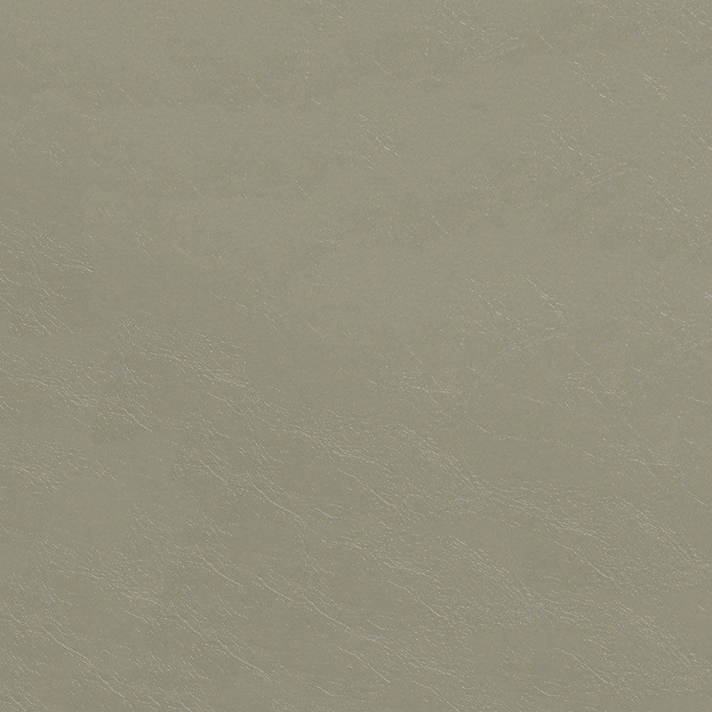 Beige leather texture close-up with natural grain and subtle sheen.