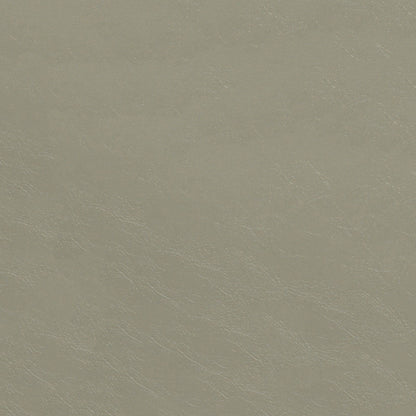 Beige leather texture close-up with natural grain and subtle sheen.