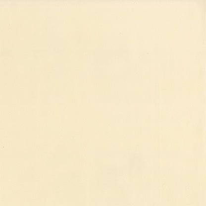 NICHOLASJOHN INC NJ-SENTRY Vanilla Solid,Texture   Fabric - NJ25-586