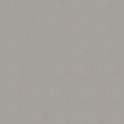 NICHOLASJOHN INC NJ-WINDOO Gray Solid   Fabric - NJ25-3745