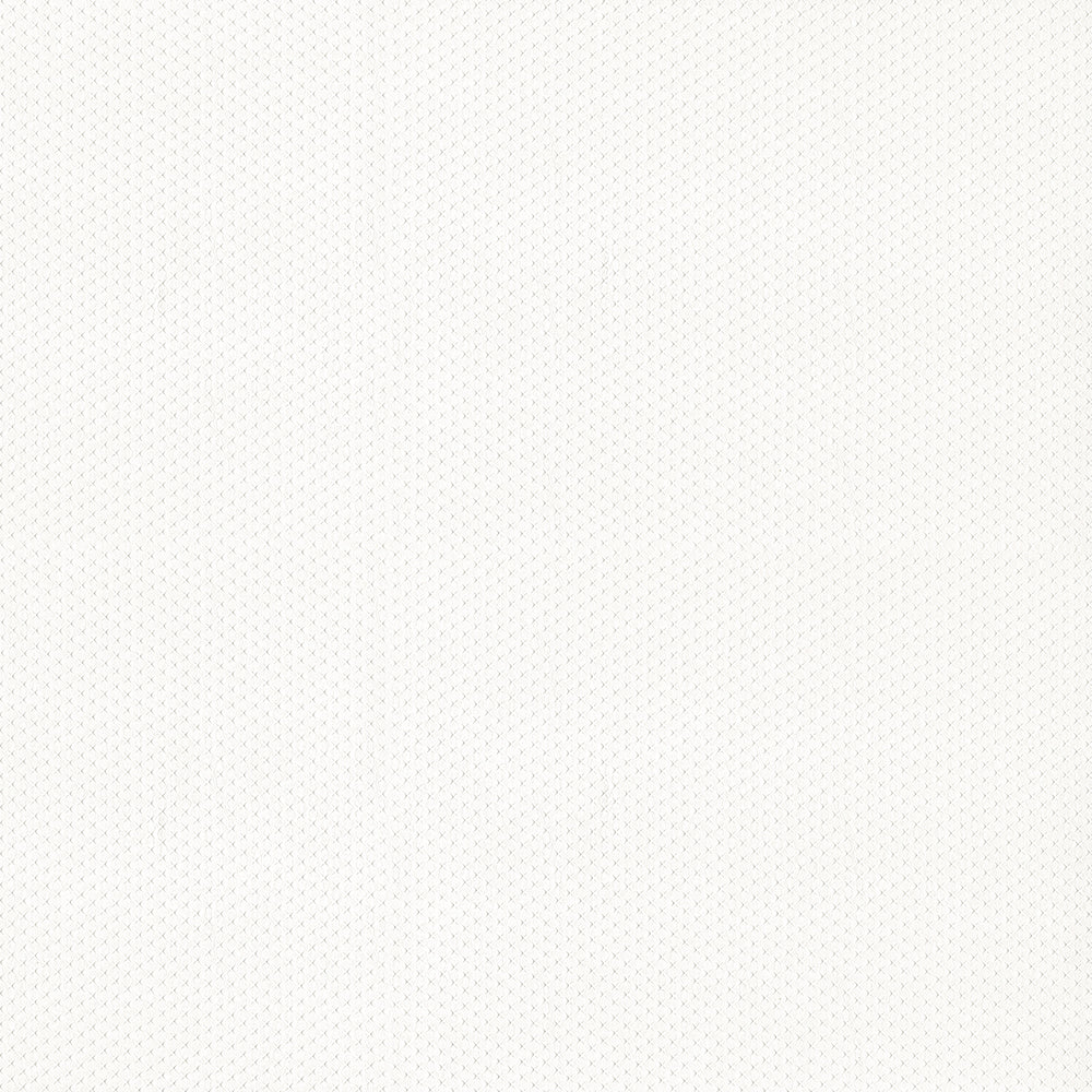 NICHOLASJOHN INC NJ-FINCH Mystic White Texture   Fabric - NJ25-3227