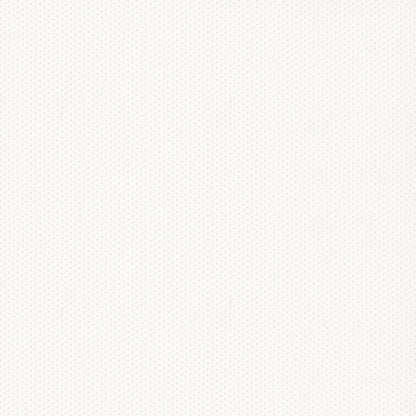 NICHOLASJOHN INC NJ-FINCH Mystic White Texture   Fabric - NJ25-3227