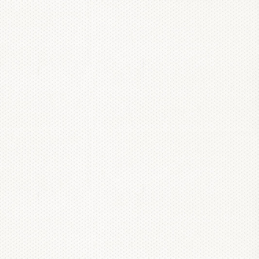 NICHOLASJOHN INC NJ-FINCH Mystic White Texture   Fabric - NJ25-3227