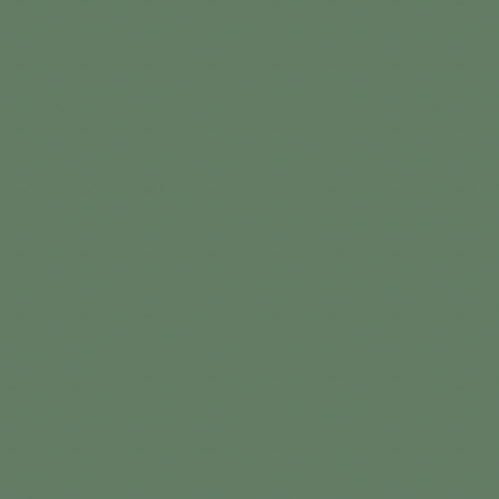 Olive-green solid color swatch with flat, uniform background.