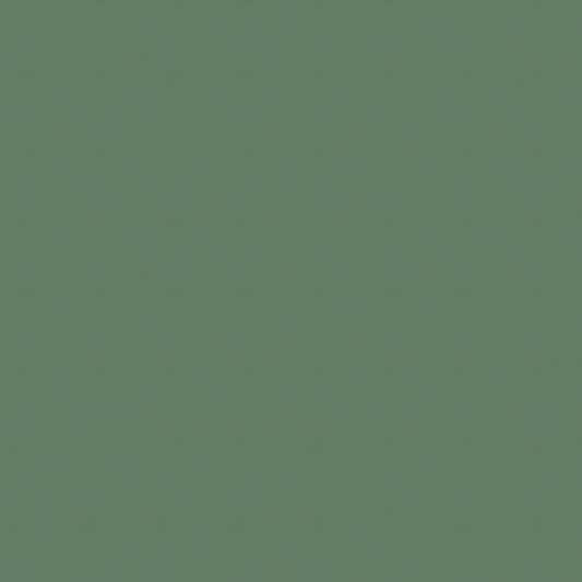 NICHOLASJOHN INC NJ-COCO Green Solid   Fabric - NJ25-3155