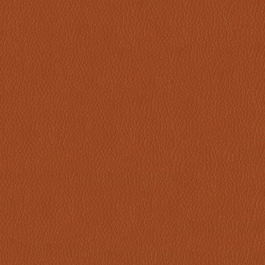 NICHOLASJOHN INC NJ-KENDRICK Pumpkin Spice Solid,Texture   Fabric - NJ25-2694