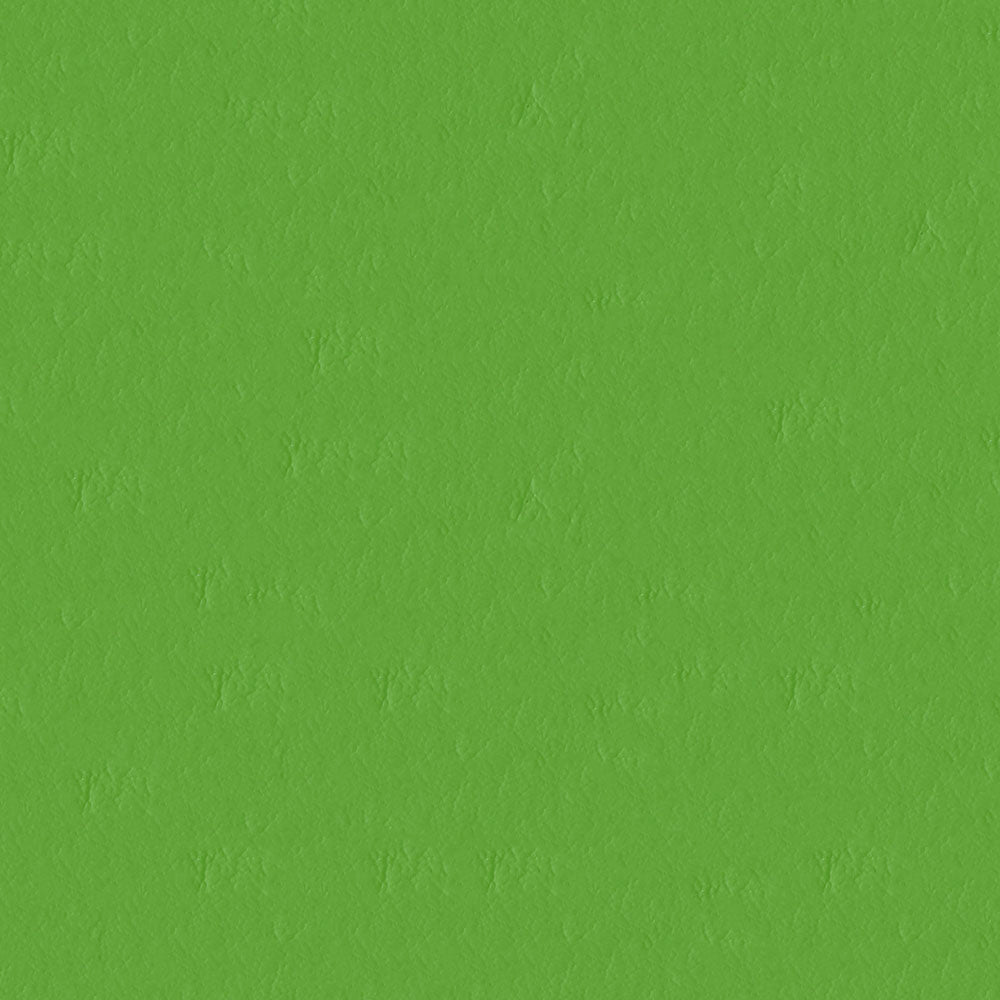 NICHOLASJOHN INC NJ-CAPO Green Solid   Fabric - NJ25-485