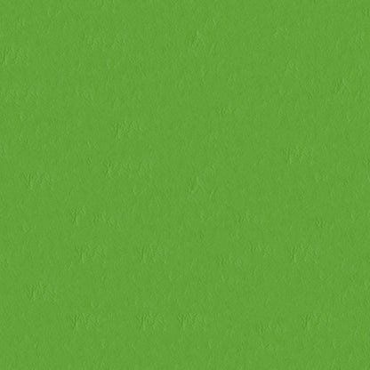 NICHOLASJOHN INC NJ-CAPO Green Solid   Fabric - NJ25-485