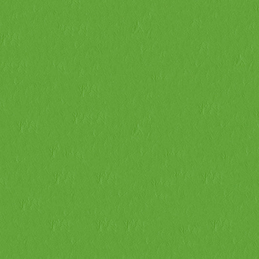 NICHOLASJOHN INC NJ-CAPO Green Solid   Fabric - NJ25-485