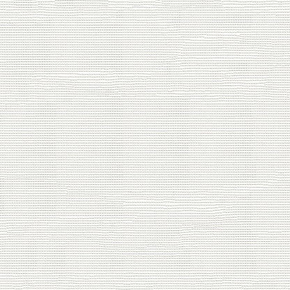 NICHOLASJOHN INC NJ-SCEENY White Mesh   Fabric - NJ25-2879