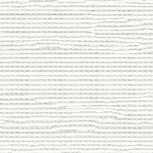 NICHOLASJOHN INC NJ-SCEENY White Mesh   Fabric - NJ25-2879