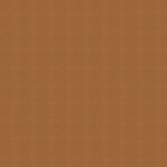 NICHOLASJOHN INC NJ-SHH Brown Solid   Fabric - NJ25-3682