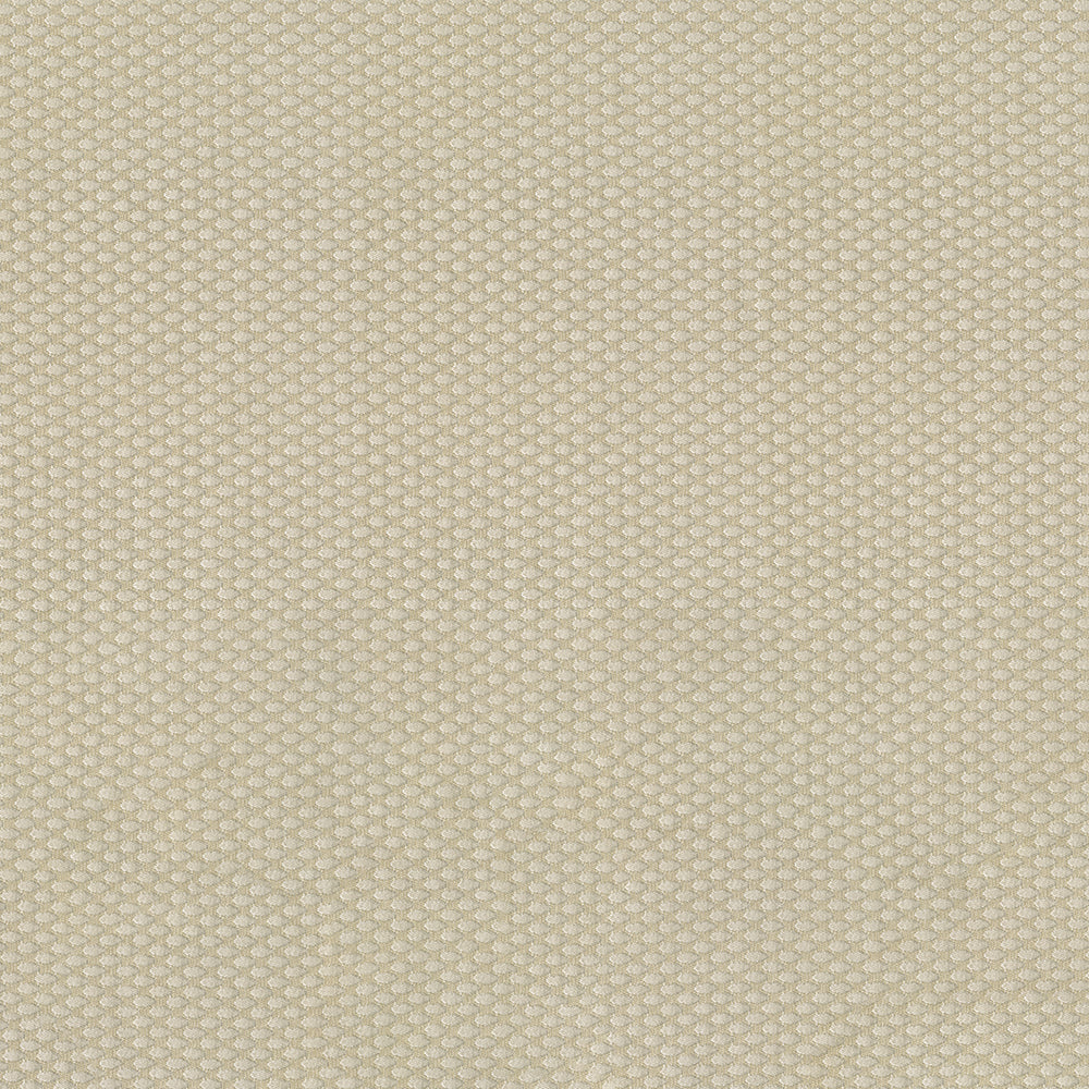 NICHOLASJOHN INC NJ-FORA Ecru Solid,Traditional   Fabric - NJ25-1268